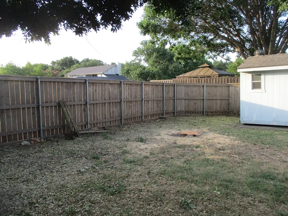 Cleared yard after professional tree removal in Russell